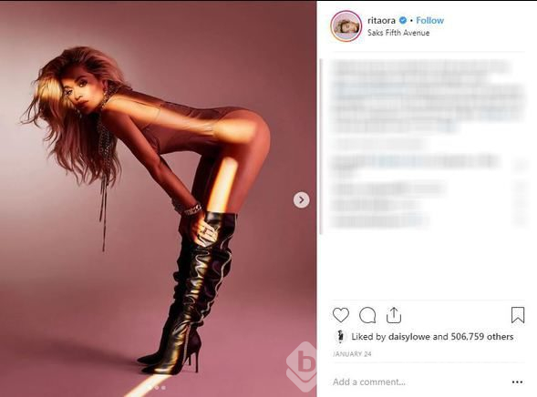 Rita Ora yumurtalarını dondurdu
