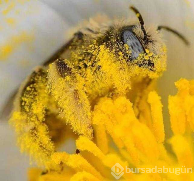 Günün en çok paylaşılan fotoğrafları (27.03.2019)