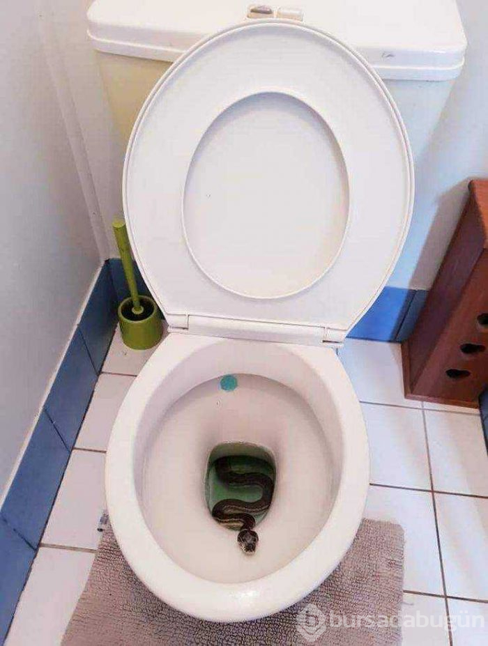 Günün en çok paylaşılan fotoğrafları (27.03.2019)