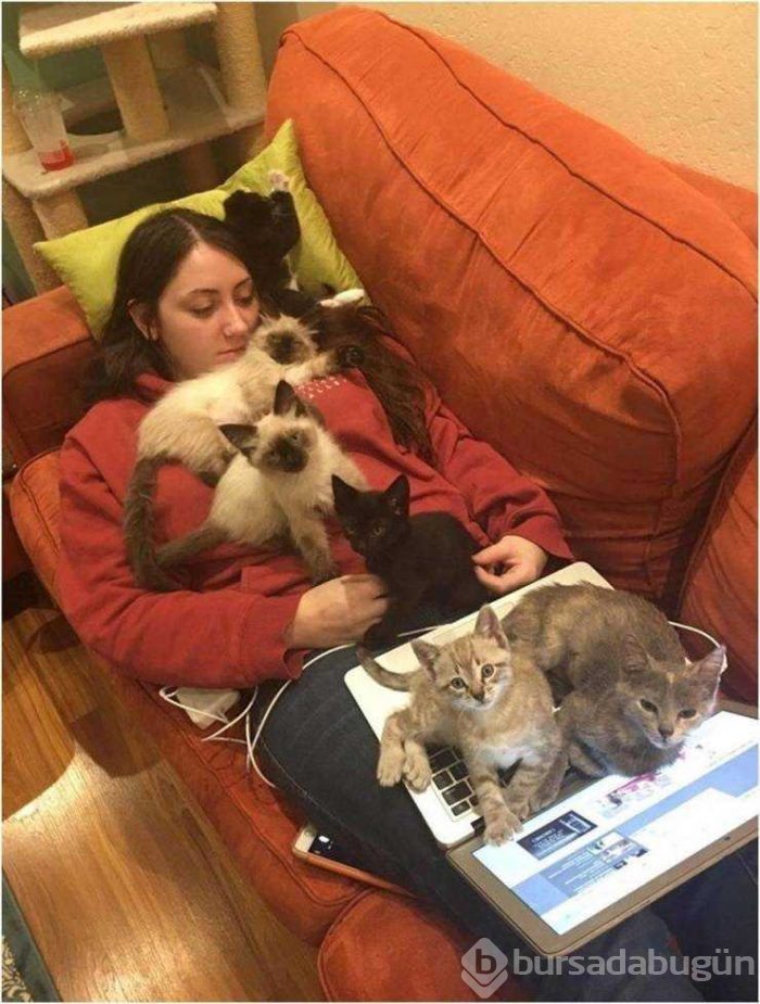 Günün en çok paylaşılan fotoğrafları (27.03.2019)