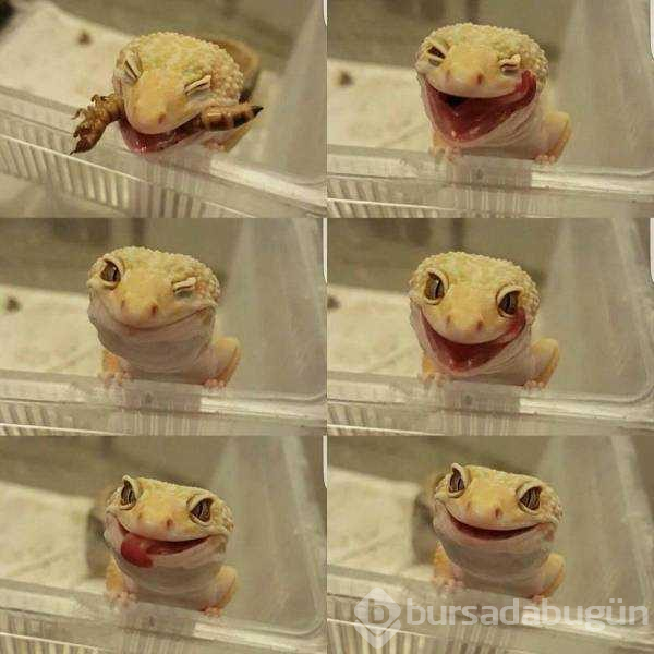Günün en çok paylaşılan fotoğrafları (27.03.2019)