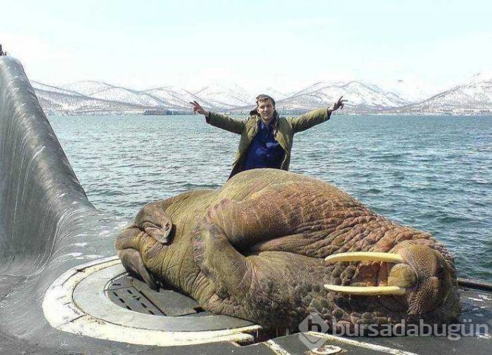 Günün en çok paylaşılan fotoğrafları (27.03.2019)