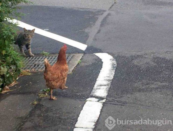 Günün en çok paylaşılan fotoğrafları (27.03.2019)