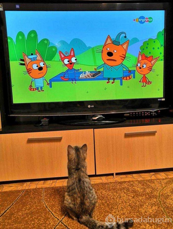 Günün en çok paylaşılan fotoğrafları (27.03.2019)