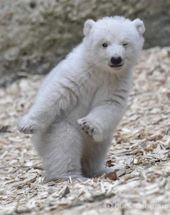 Günün en çok paylaşılan fotoğrafları (27.03.2019)