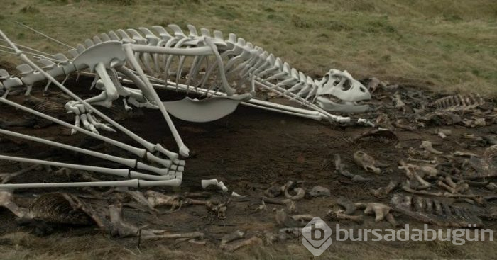 Game of Thrones ejderhası nasıl yapılıyor?