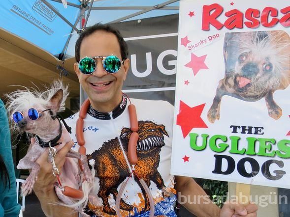 Dünyanın en çirkin köpeği: Rascal
