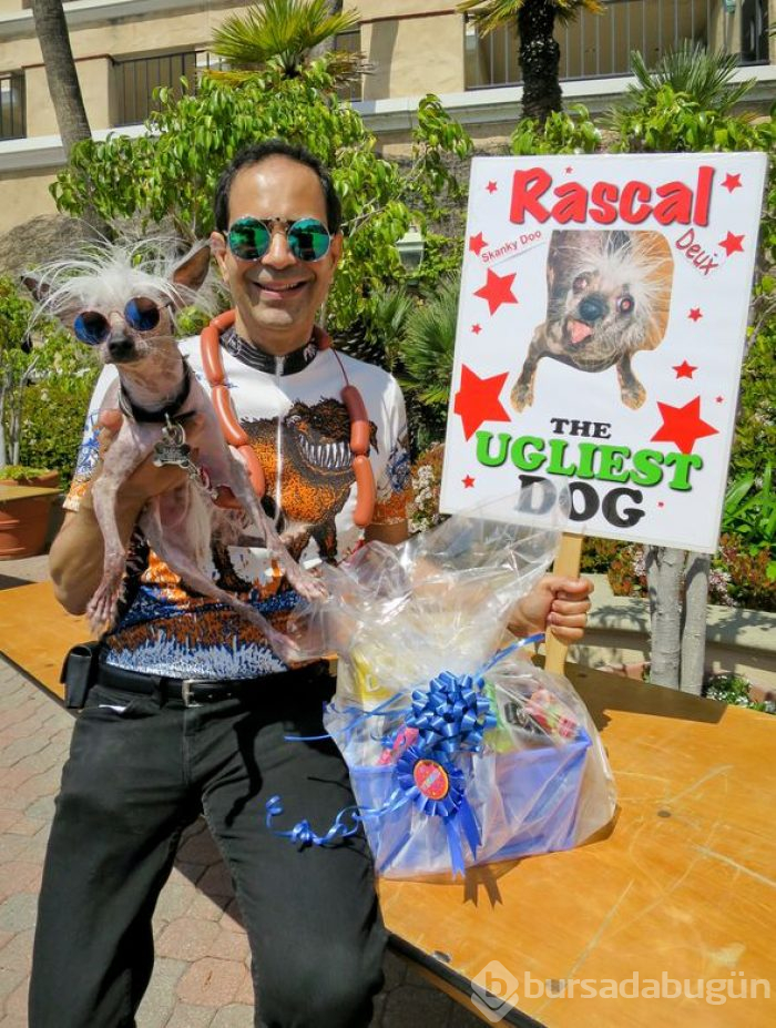 Dünyanın en çirkin köpeği: Rascal
