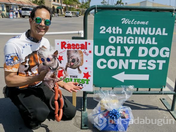 Dünyanın en çirkin köpeği: Rascal

