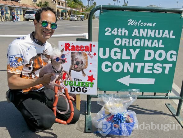 Dünyanın en çirkin köpeği: Rascal
