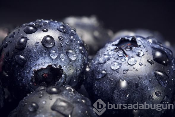 Faydaları saymakla bitmeyen yaban mersinini bol bol tüketin!
