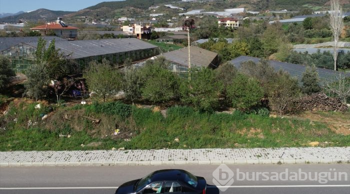 15 yıldır aynı direğe yuva yapıyorlar

