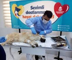 Afacan, ağzına sıkışan borudan böyle kurtarıldı
