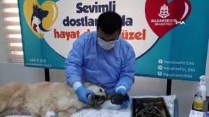 Afacan, ağzına sıkışan borudan böyle kurtarıldı
