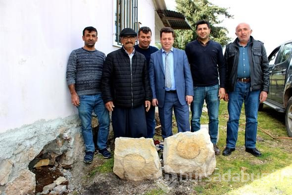 65 milyon yıllık dev fosil duvardan söküldü
