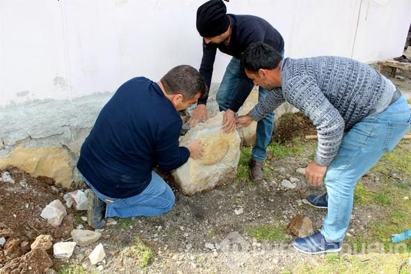 65 milyon yıllık dev fosil duvardan söküldü
