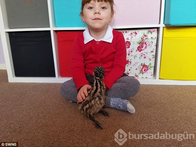 İnternetten aldığı yumurtanın içinden çıkanı görünce neye uğradığını şaşırdı!