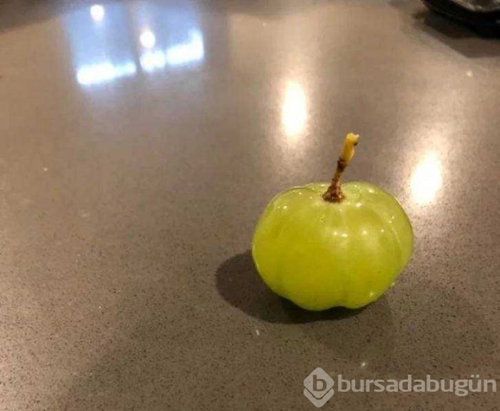 Günün en çok paylaşılan fotoğrafları (28.03.2019)