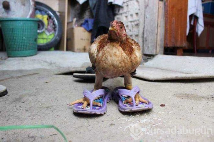 Günün en çok paylaşılan fotoğrafları (28.03.2019)