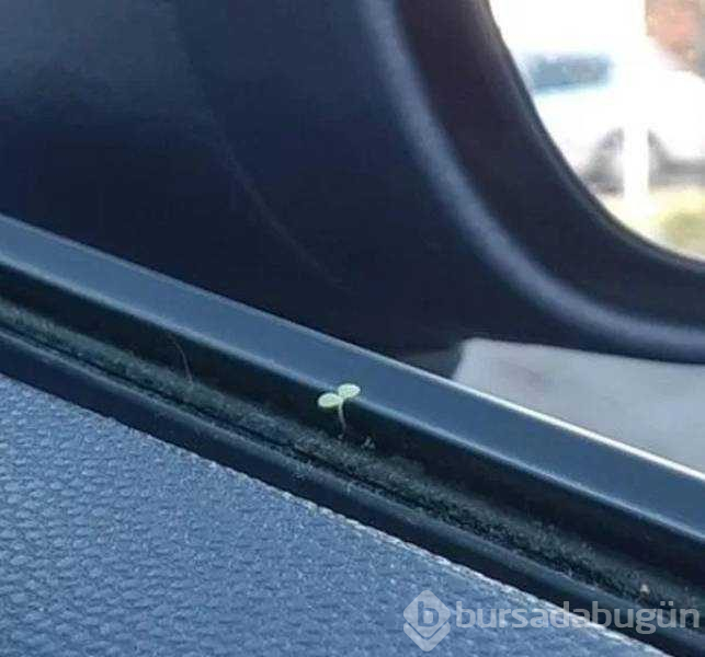 Günün en çok paylaşılan fotoğrafları (28.03.2019)