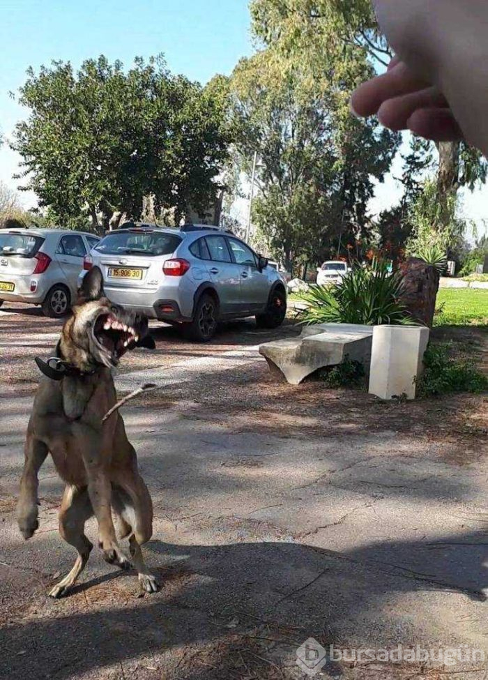 Günün en çok paylaşılan fotoğrafları (28.03.2019)