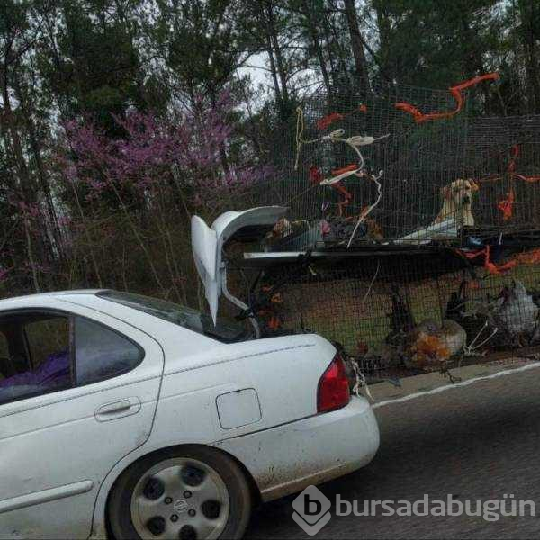 Günün en çok paylaşılan fotoğrafları (28.03.2019)