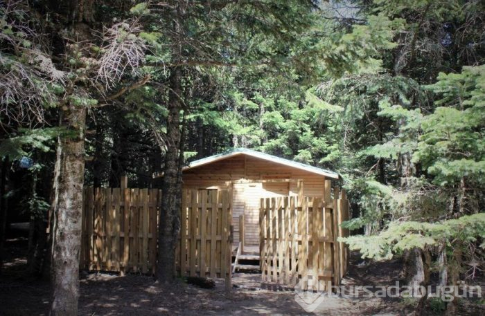 Uludağ'da doğayla başbaşa günlüğü 25 TL'ye tatil