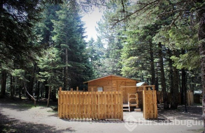 Uludağ'da doğayla başbaşa günlüğü 25 TL'ye tatil