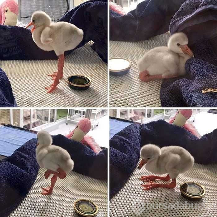 İlk kez duyacağınız birbirinden ilginç bilgiler
