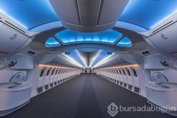 İlk kez duyacağınız birbirinden ilginç bilgiler
