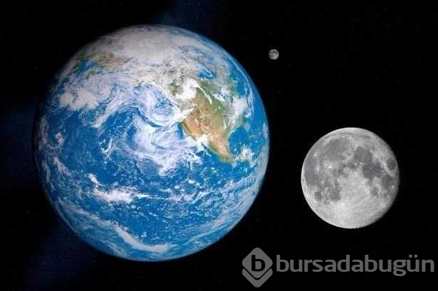 İlk kez duyacağınız birbirinden ilginç bilgiler
