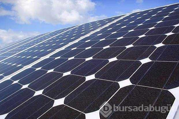 İlk kez duyacağınız birbirinden ilginç bilgiler
