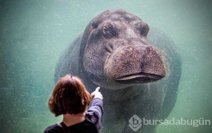 Günün en çok paylaşılan fotoğrafları (29.03.2019)