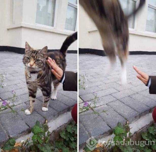 Günün en çok paylaşılan fotoğrafları (29.03.2019)