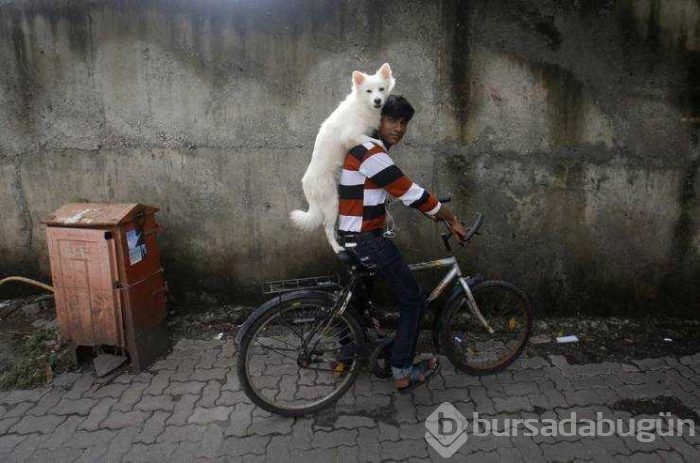 Günün en çok paylaşılan fotoğrafları (29.03.2019)