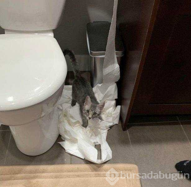 Günün en çok paylaşılan fotoğrafları (29.03.2019)
