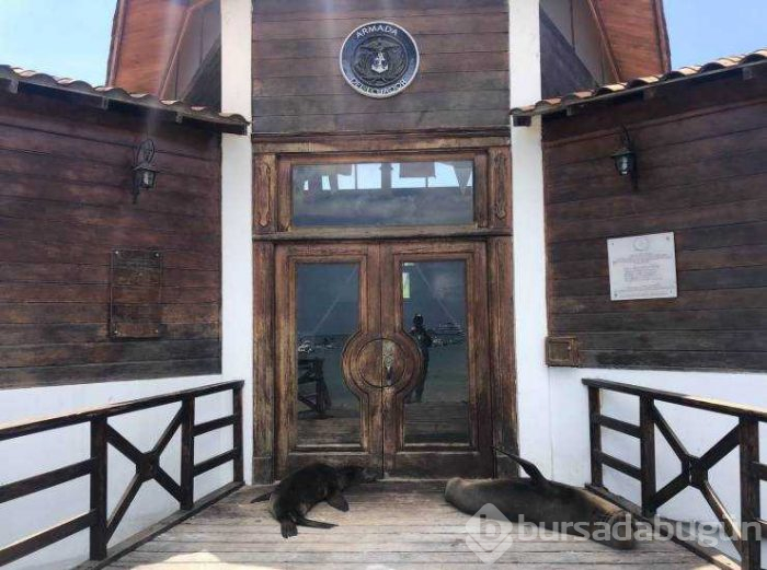 Günün en çok paylaşılan fotoğrafları (29.03.2019)