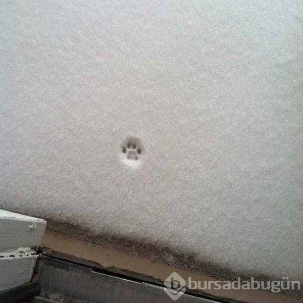 Günün en çok paylaşılan fotoğrafları (29.03.2019)
