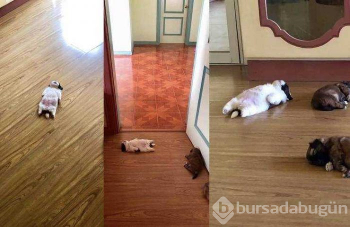Günün en çok paylaşılan fotoğrafları (29.03.2019)