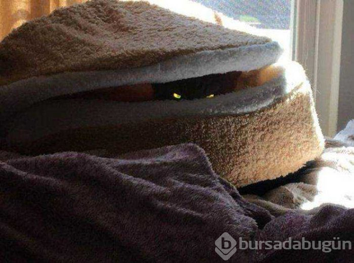 Günün en çok paylaşılan fotoğrafları (29.03.2019)