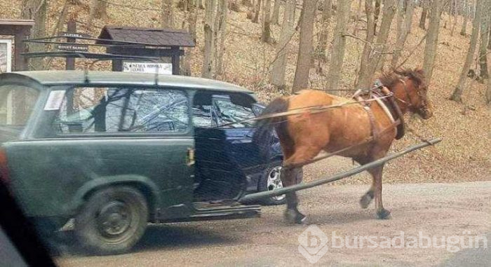 Günün en çok paylaşılan fotoğrafları (29.03.2019)