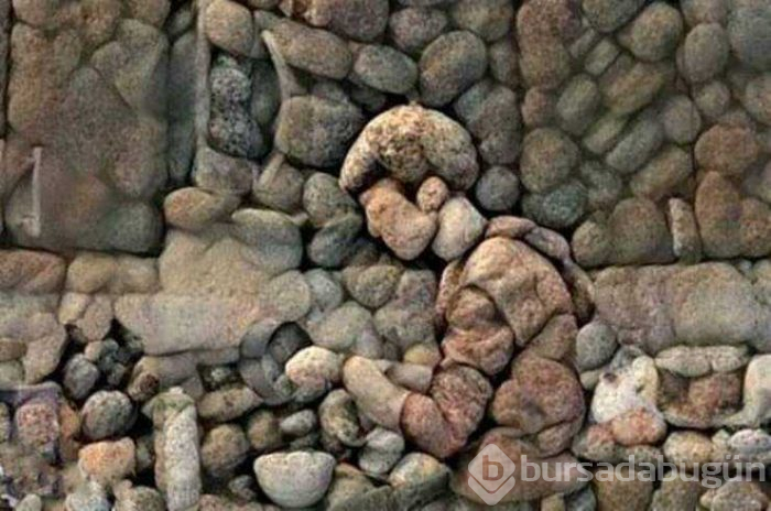 Günün en çok paylaşılan fotoğrafları (29.03.2019)