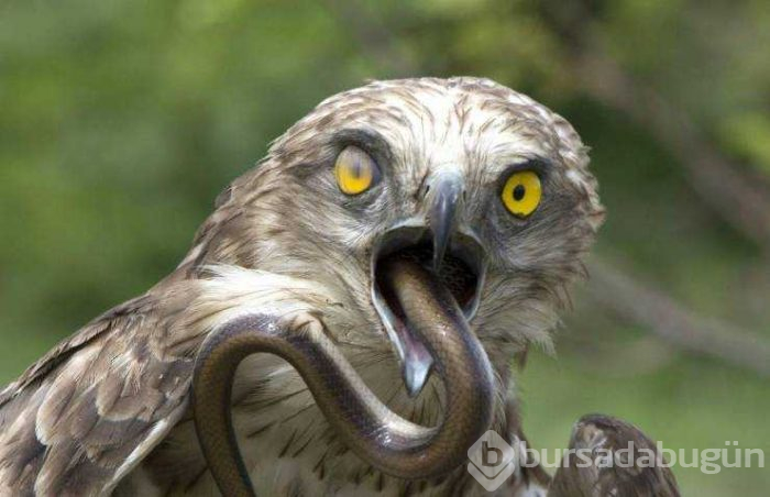 Günün en çok paylaşılan fotoğrafları (29.03.2019)