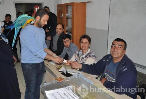 Türkiye sandık başında!