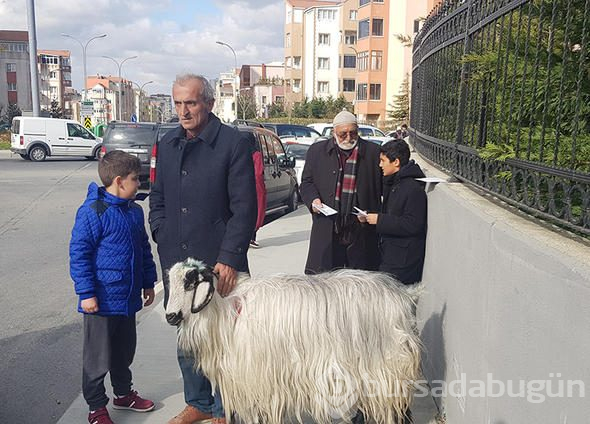 Türkiye sandık başında!