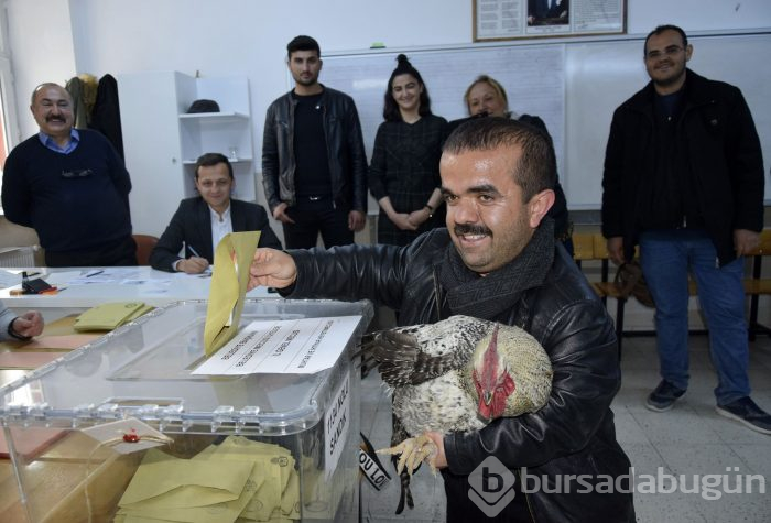 Türkiye sandık başında!