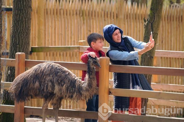 'Birkaç kez görmüştüm ama ilk defa bu kadar yaklaştım'

