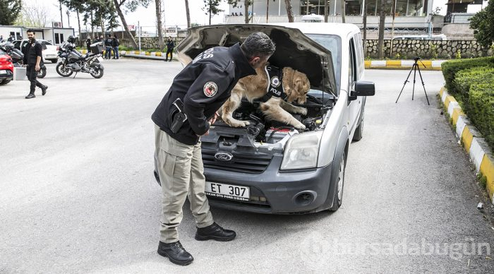 "Hassas burunlar" zehir tacirlerine geçit vermiyor
