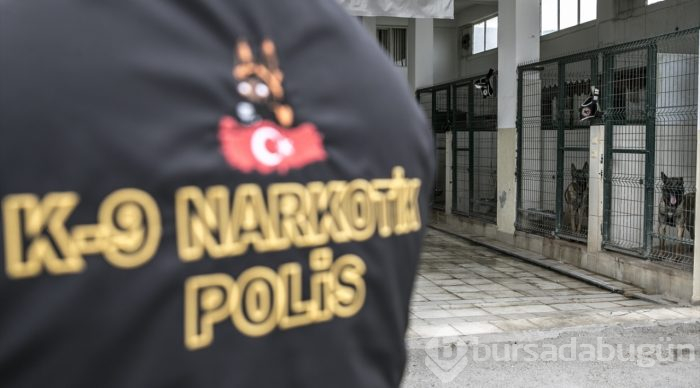 "Hassas burunlar" zehir tacirlerine geçit vermiyor
