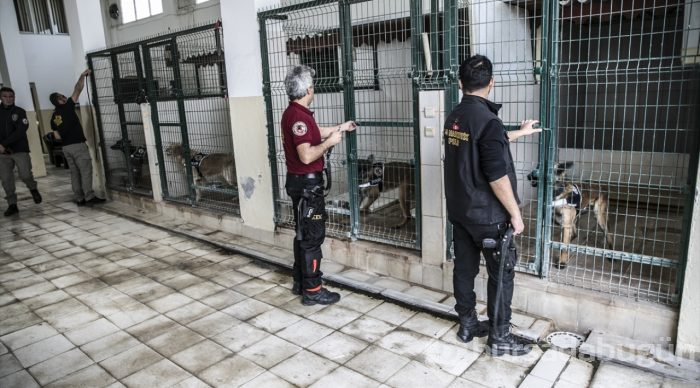 "Hassas burunlar" zehir tacirlerine geçit vermiyor
